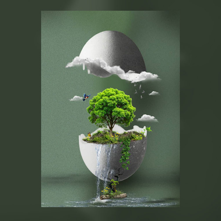 Graphic Design 12